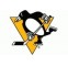 Pittsburgh Penguins